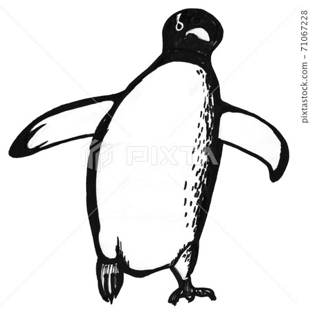 Hand drawn line art penguins 71067228