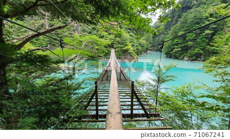 Suspension bridge over the emerald valley Suspension bridge over the emerald valley 71067241