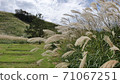 Autumn thatched landscape 71067251