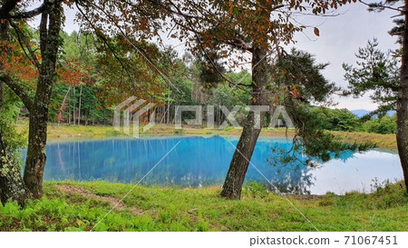Wonderful pond in Nagano Prefecture, Japan 71067451