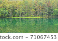 Beautiful lake 71067453