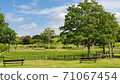 A green park on a clear day 71067454