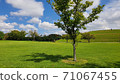 Blue sky and clear day grass and park 71067455