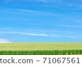 Biei landscape Takushin 71067561