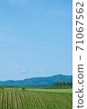 Landscape of the hill Shozo Biei 71067562