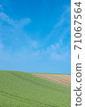 Landscape of the hill Shozo Biei 71067564