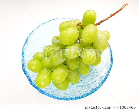Shine Muscat grapes grapes Shine Muscat grapes grapes 71068460