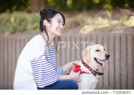 A woman walking a dog 71068635