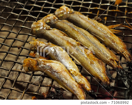 Kushiro's specialty, robatayaki book shishamo Kushiro's specialty, robatayaki book shishamo 71068992