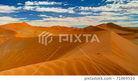 Sand dunes Namib-Naukluft national park in Namibia Sand dunes Namib-Naukluft national park in Namibia 71069510
