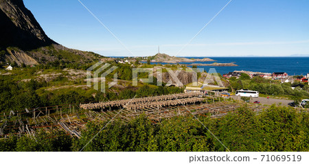 Drying cod fish at A village, Moskenesoya, Lofoten, Norway Drying cod fish at A village, Moskenesoya, Lofoten, Norway 71069519