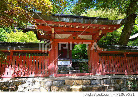 神宮寺覺醒陵墓 神宮寺覺醒陵墓 71069551