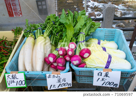 Gifu Prefecture Takayama City Miyagawa Morning Market Local vegetables 71069597