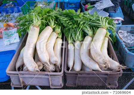 Gifu Prefecture Takayama City Miyagawa Morning Market Local vegetables 71069604
