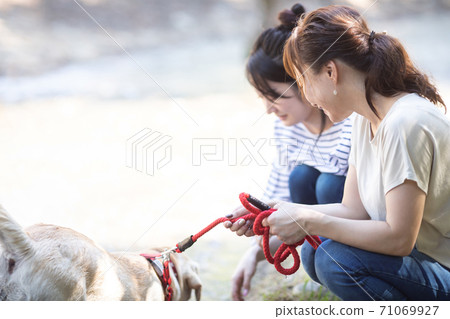 婦女walking狗 婦女walking狗 71069927