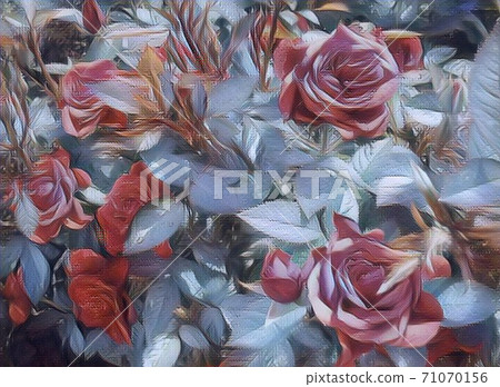 Bushy red rose. Flowers in the garden. roses on the flowerbed. The stylized image. Greeting card, congratulation, congratulation on the battlefield. Red roses, brown branches, blue cold leaves 71070156