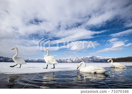 Swan Lake Kussharo Sandbox Hokkaido 71070166