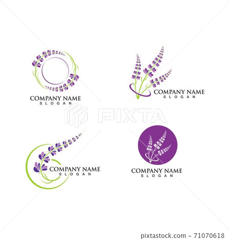Fresh Lavender flower logo vector flat 71070618