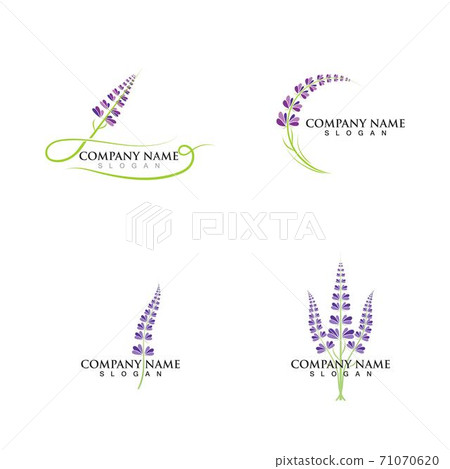 Fresh Lavender flower logo vector flat 71070620