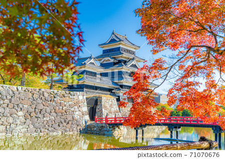 秋葉和松本城[長野縣] 71070676