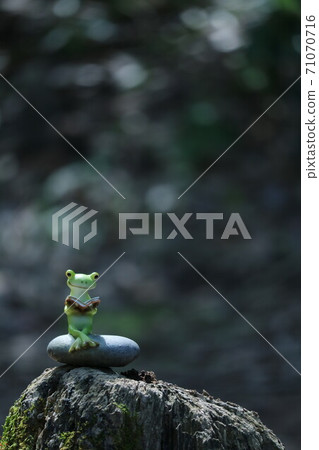 Reading Reading 71070716