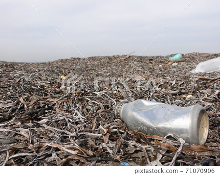 Environmental problems ・ Garbage that has washed up on the beach Environmental problems ・ Garbage that has washed up on the beach 71070906