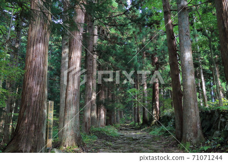 Kosuge Village 71071244