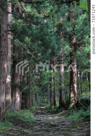 Kosuge Village 71071245