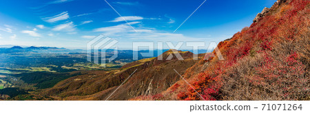 Superb view Autumn leaves on the southern slope of Mt. Kuzumi 71071264