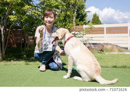 女人照顧一隻狗 71071626