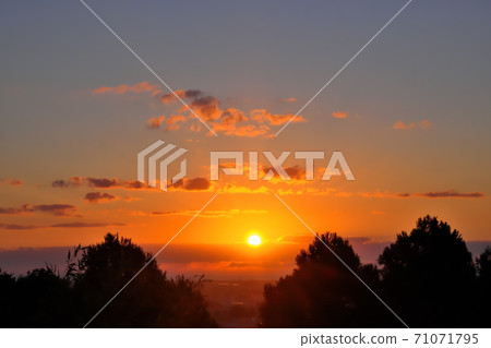 Evening landscape 71071795