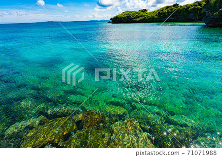 新莊島Panari島海 新莊島Panari島海 71071988
