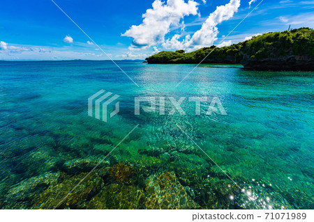新莊島Panari島海 新莊島Panari島海 71071989
