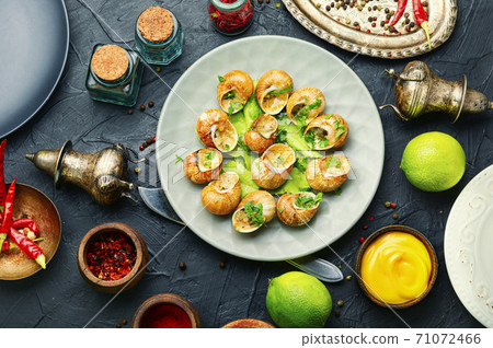 Bourgogne escargot snails Bourgogne escargot snails 71072466