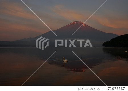山中湖富士山新年 山中湖富士山新年 71072587