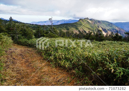從浦來S山到卡拉須竹的山路 71073282