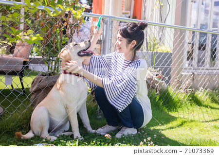 A woman who plays with a dog A woman who plays with a dog 71073369