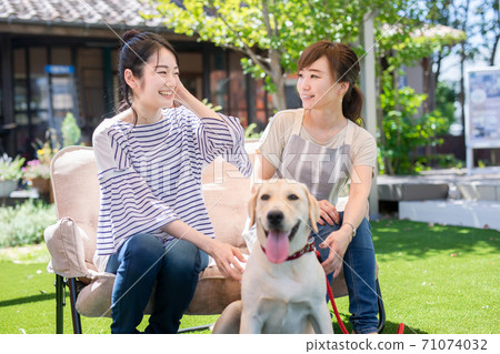 Dog and lady 71074032