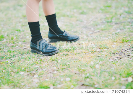 Elementary school entrance 71074254