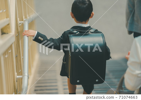 elementary student, primary school child, primary school student 71074663