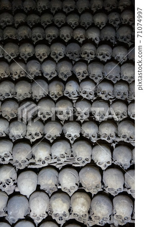 Human bones and skulls as pirate texture Human bones and skulls as pirate texture 71074997