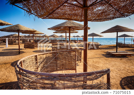 beach in the egypt 71075015