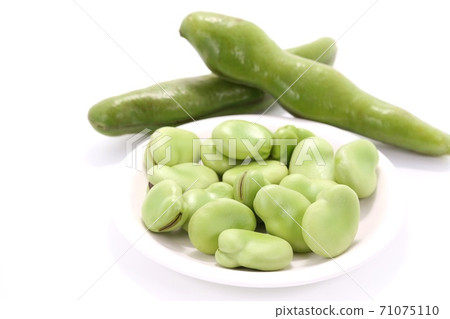 Broad beans in the pod and beans taken out white background 71075110