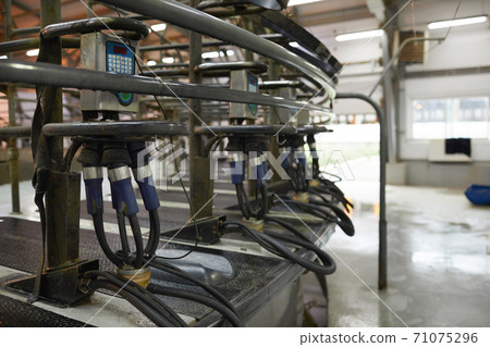 Milk Collector at Dairy Farm 71075296