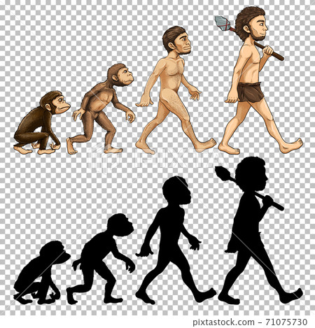 Set of human evolution transparent background Set of human evolution transparent background 71075730