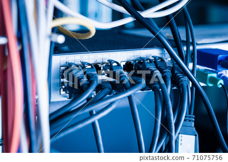 black ethernet cables connected to switch black ethernet cables connected to switch 71075756