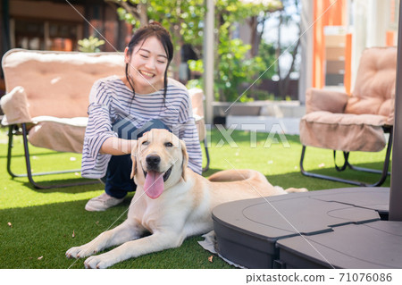 Dog and lady Dog and lady 71076086