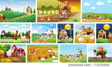 Set of different farm scenes with animal farm cartoon style 71076840