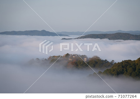 [Japan's Top 100 Castles] Autumn sea of clouds surrounding Bitchu Matsuyama Castle and Kibi Kogen, Takahashi City, Okayama Prefecture 71077264