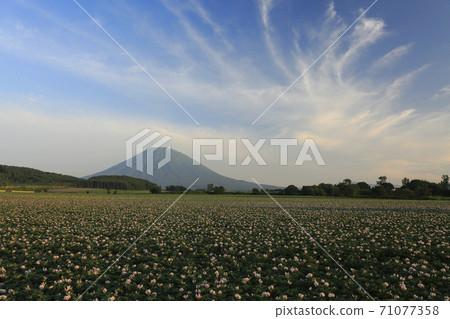 Mt. Yotei, potato fields and muscle clouds in Kutchan, Hokkaido Mt. Yotei, potato fields and muscle clouds in Kutchan, Hokkaido 71077358